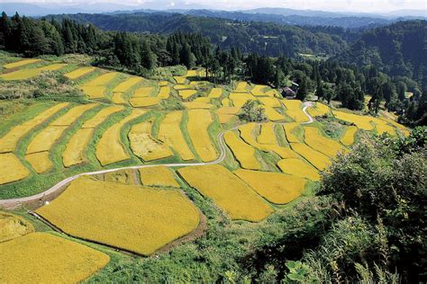 小千谷市, 新潟県